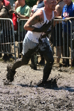 Enlarge photo 321