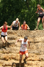 Enlarge photo 359