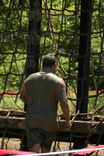 Enlarge photo 361