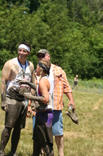 Enlarge photo 374