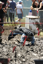 Enlarge photo 394