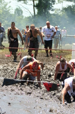 Enlarge photo 413