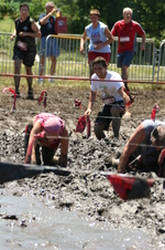 Enlarge photo 427
