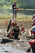 Enlarge photo 432