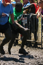 Enlarge photo 446