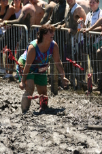 Enlarge photo 463