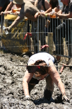 Enlarge photo 470