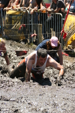 Enlarge photo 473