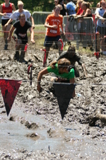 Enlarge photo 475