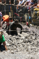 Enlarge photo 478
