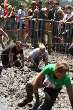 Enlarge photo 480