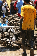 Enlarge photo 498