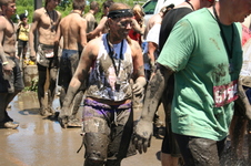 Enlarge photo 525