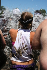 Enlarge photo 532