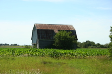 Enlarge photo 596