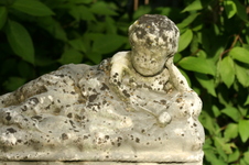Enlarge photo 603