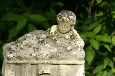 Enlarge photo 606