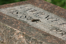 Enlarge photo 612