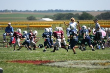 Enlarge photo 57