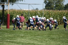 Enlarge photo 59