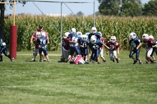 Enlarge photo 60