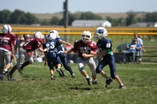 Enlarge photo 66