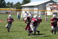 Enlarge photo 82