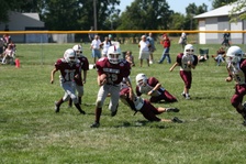 Enlarge photo 92