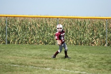 Enlarge photo 105