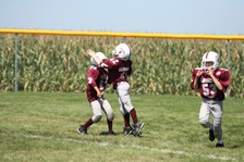 Enlarge photo 107