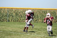 Enlarge photo 108