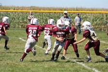 Enlarge photo 109