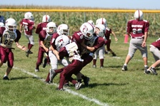 Enlarge photo 110