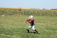 Enlarge photo 137