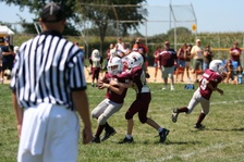 Enlarge photo 146