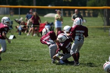 Enlarge photo 149