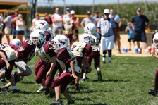 Enlarge photo 151