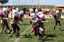 Enlarge photo 152