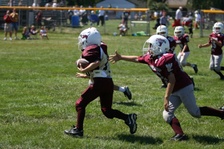 Enlarge photo 154