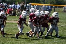 Enlarge photo 167