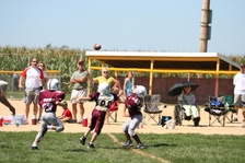 Enlarge photo 168