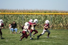 Enlarge photo 172