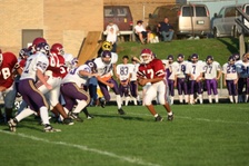 Enlarge photo 74
