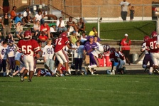 Enlarge photo 94