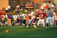 Enlarge photo 133