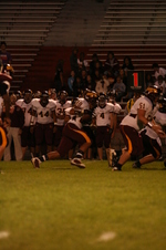 Enlarge photo 119