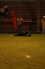 Enlarge photo 203