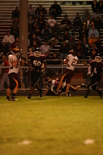 Enlarge photo 359