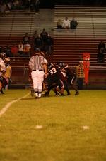 Enlarge photo 379