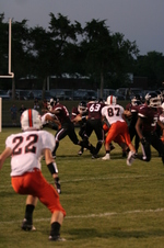 Enlarge photo 102